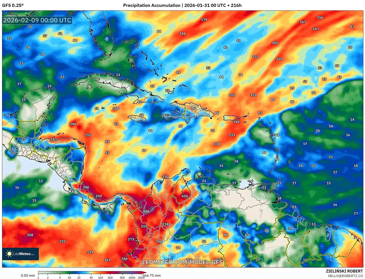 Heavy Rain Accumulation on February 8, 2026